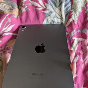 ipad mini 7
