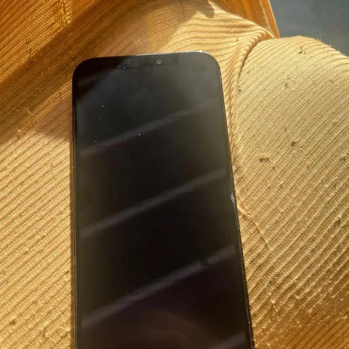 iphone 12 pro max face id failed